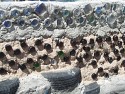 07_2011-0609-1423-30.jpg